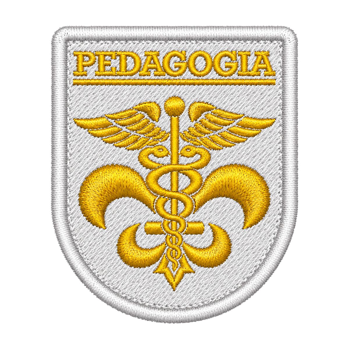 Patch Pedagogia